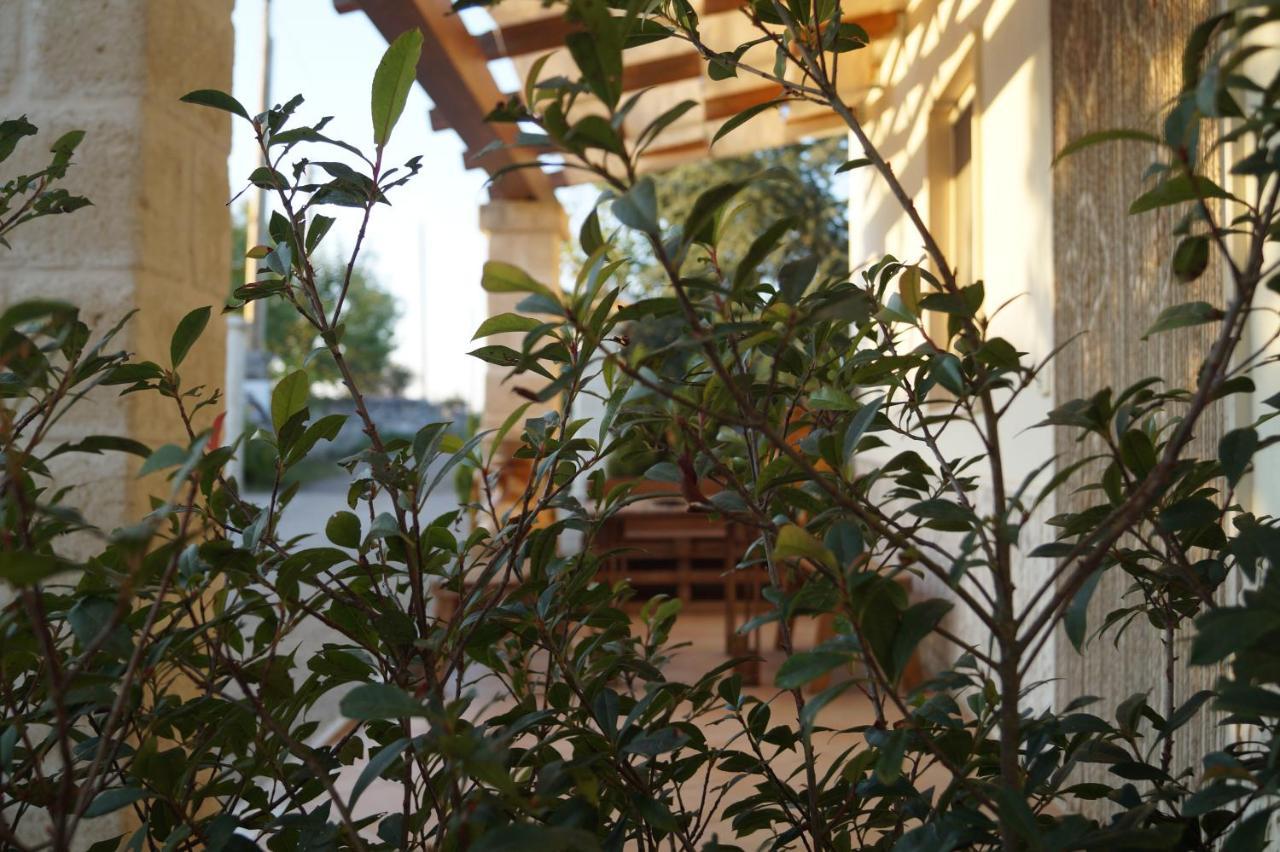 La Casa Del Nonno Bed & Breakfast อัลเบโรเบลโล ห้อง รูปภาพ