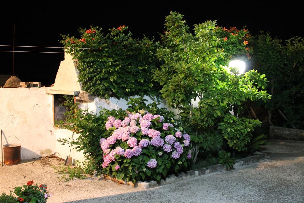 La Casa Del Nonno Bed & Breakfast อัลเบโรเบลโล ภายนอก รูปภาพ