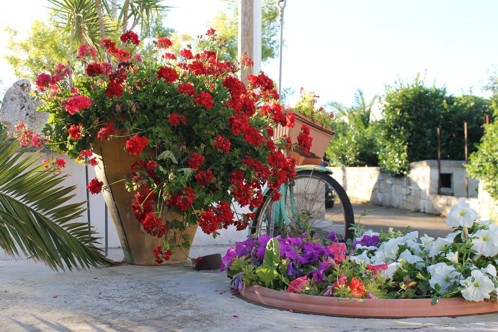 La Casa Del Nonno Bed & Breakfast อัลเบโรเบลโล ภายนอก รูปภาพ