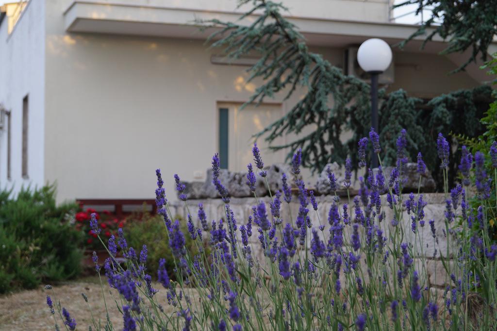 La Casa Del Nonno Bed & Breakfast อัลเบโรเบลโล ภายนอก รูปภาพ