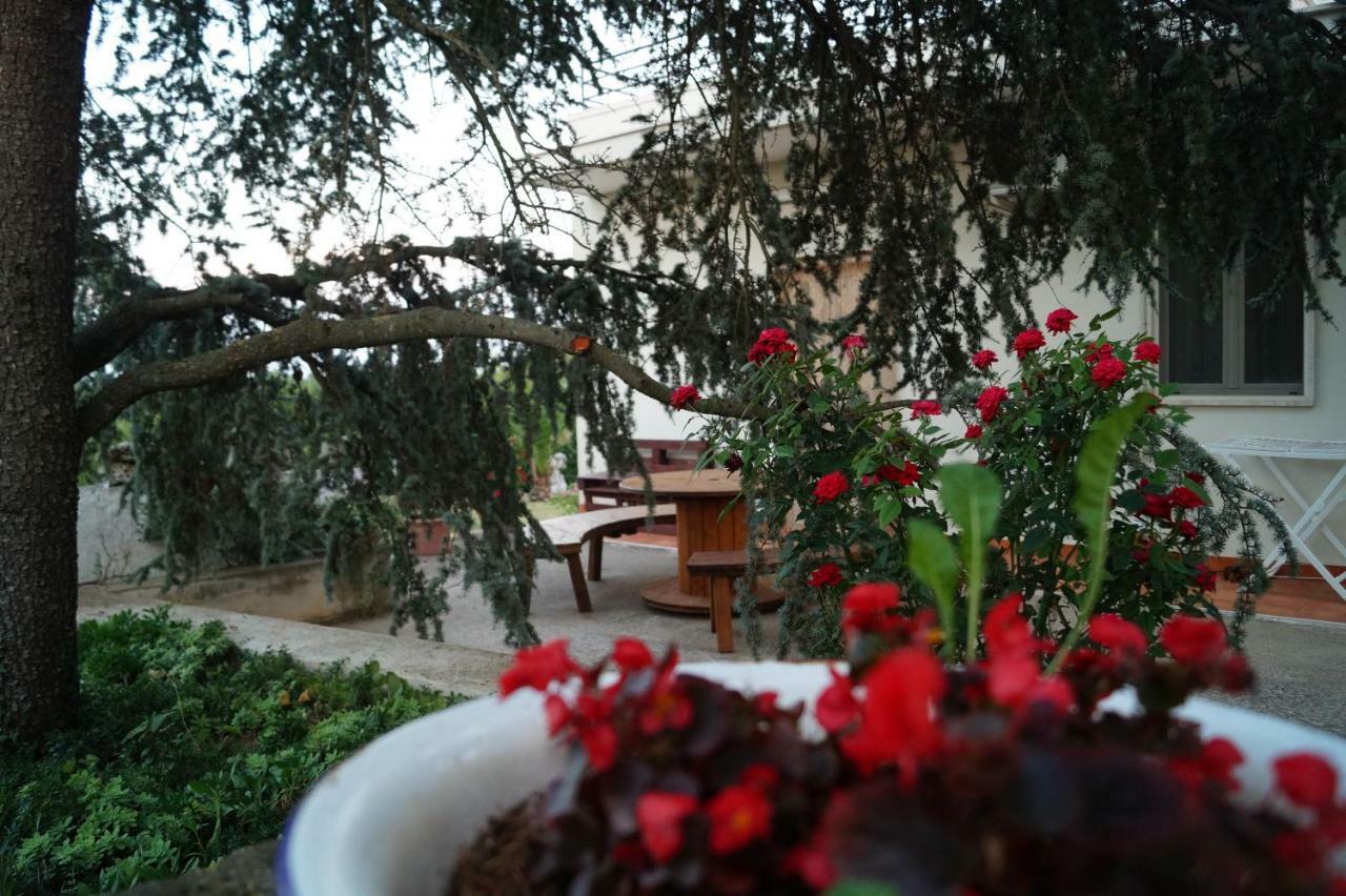 La Casa Del Nonno Bed & Breakfast อัลเบโรเบลโล ภายนอก รูปภาพ